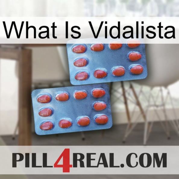 What Is Vidalista 05.jpg